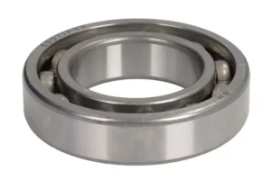 Neulalaakeri PARSUN 6007-P5C4 Neulalaakeri PARSUN 6007-P5C4