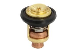 Termostaatti PARSUN F15-07000031 Termostaatti PARSUN F15-07000031