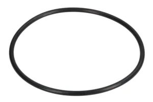 Polttoainepumpun O-rengas PARSUN F20-04060002E