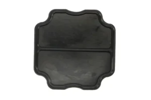 Polttoainepumpun tiiviste PARSUN F4-04090004