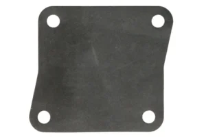 Polttoainepumpun tiiviste PARSUN PAF25-05130005