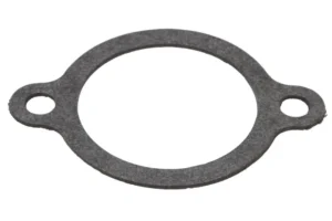 Termostaatin tiiviste QUICKSILVER 8M0079167