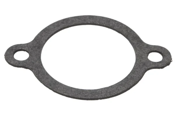 Termostaatin tiiviste QUICKSILVER 8M0079167 Termostaatin tiiviste QUICKSILVER 8M0079167